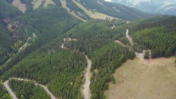 Aerial view of a beautiful curving road between pine trees, in the Rocky Mountains. video