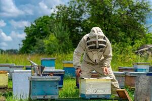 Worker carring out the bee hives. Farmer in protective suit working on the bee field. photo