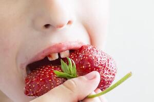 Man eats strawberries. Berry in the mouth. Small child or baby eating red color berry of strawberry photo