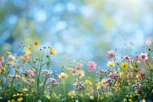 AI generated Lush floral scenes showcasing a variety of blossoms in soft, radiant light with a bokeh background photo