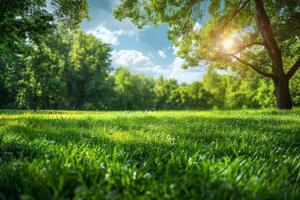 ai generado luz de sol filtros mediante lozano verde arboles sobre un rociado prado, destacando el frescura de un pacífico parque foto