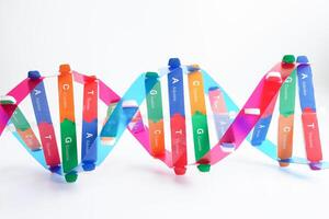 DNA molecule spiral structure model isolated on white background, chromosome and gene chemical science biology. photo