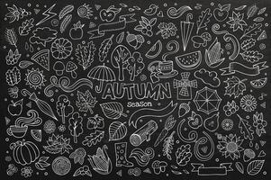 Chalkboard vector hand drawn Doodle cartoon set of objects