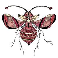 Vector decorative insect butterfly