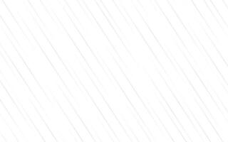 Modern geometric white background design vector
