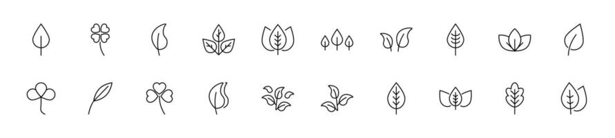 Collection of thin line icons of leaf. Linear sign and editable stroke. Suitable for web sites, books, articles vector