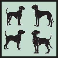 Dog Silhouette, American Coonhound Dog Silhouette set vector