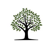 tree with leaves vector illustration