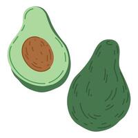 Hand drawn avocado. Cartoon fresh raw tasty avocado fruit, whole fruit and half. Organic avocado flat vector illustration on white background