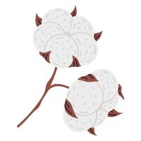 dibujos animados algodón flor. linda garabatear maduro blanco algodón flor planta, mano dibujado mullido pelota aislado plano vector ilustración en blanco antecedentes