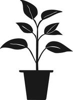 Potted Plant Silhouette Vector Isolated