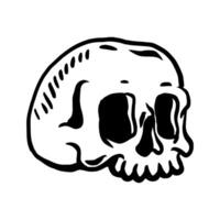 Cartoon skull vector illustration, isolated on white background