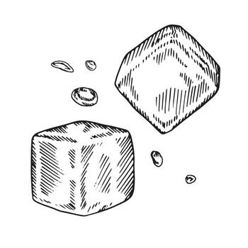Ice cube vector illustration. Hand drawn graphic clipart set on white isolated background. Linear drawing of water drops. Sugar block outline sketch. Black line art for menu design