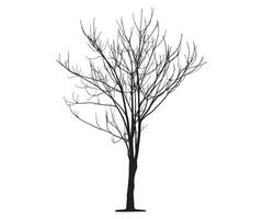 Tree Silhouette vector artwork Concepts Design Elements