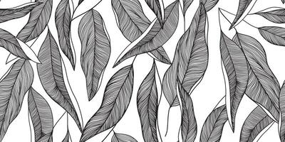 Black and white linear seamless pattern with palm leaves. Botanical texture with tropical plants vector