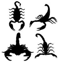 conjunto vector escorpión negro silueta icono ilustración