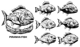 conjunto enojado piraña icono. peligroso tropical pescado vector ilustración