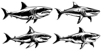 conjunto blanco tiburón icono. peligroso mar depredador monocromo diseño vector ilustración