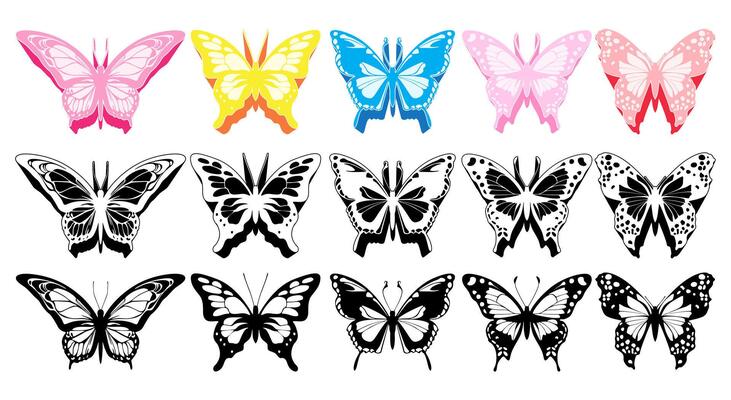 Set colorful butterfly icon design vector illustration