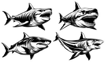 conjunto megalodon tiburón icono. enojado grande tiburón monocromo diseño vector ilustración