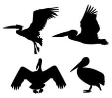 Set Vector storks birds black silhouette icon illustration