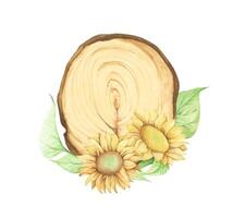 de madera rebanada con floral decoración. acuarela ilustración. vector