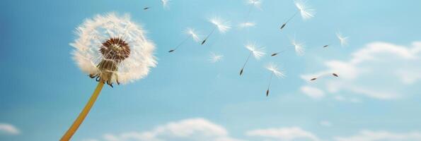 AI generated Dandelion seed drifting in the wind, with copy space for text placement and dreamy atmosphere photo