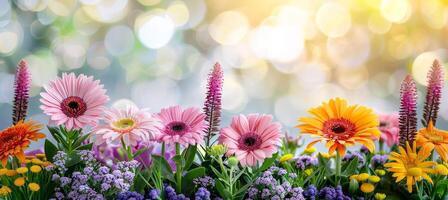 AI generated Colorful assortment of vibrant flowers on white background with space for text placement photo
