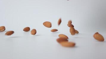 Slow motion nut almond on white background video