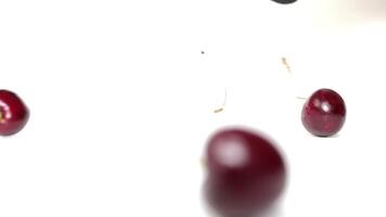 Slow motion cherry fruit on white background video