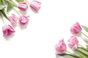 floral antecedentes con tulipanes flores en blanco antecedentes. plano poner, parte superior vista. encantador saludo tarjeta con tulipanes para madres día, Boda o contento evento foto