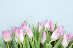 floral antecedentes con tulipanes flores en azul antecedentes. plano poner, parte superior vista. encantador saludo tarjeta con tulipanes para madres día, Boda o contento evento foto