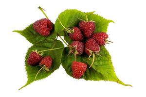 Raspberry with leaves. Raspberry isolated on white background. photo