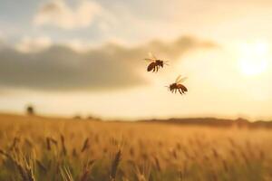 AI Generated two honeybees above field at sunny summer day photo
