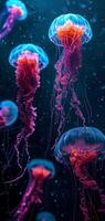 AI Generated glowing sea jellyfishes on dark background, neural network generated image photo