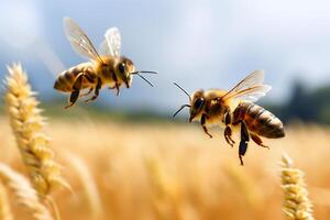 ai generado dos abejas encima campo a soleado verano día foto