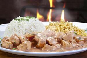 Chicken stroganoff with straw potatoes and rice photo