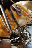 Close up of person using expert work tools to adjust and secure bike pedals and chain ring. Detailed shot of black female arm fixing bicycle component with allen key for yearly maintenance. photo