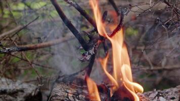 abstrait chêne bois feu dans flammes fumée et cendres video