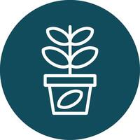 jade planta contorno circulo icono vector