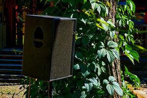 música altavoz y árbol con verde ramas en abierto espacio. foto