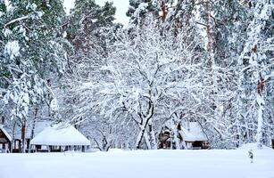 Camping course in a winter recreation park covered with snow photo