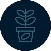 Jade Plant Line Multi color Icon vector