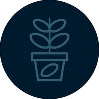 Jade Plant Line Multi color Icon vector