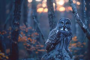 ai generado leonado búho strix nebulosa en el bosque foto