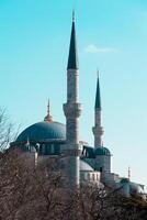 sultanahmet o azul mezquita vertical foto. Ramadán o islámico concepto foto