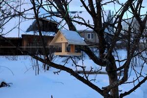 A wooden bird feeder hangs on an apple tree branch in a village garden in winter against the background of a house. Horizontal photo