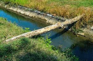 a piece of wood across a small irrigation river that can be used as a bridge in a village photo
