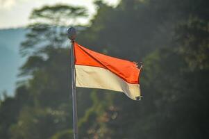 a red and white Indonesian flag fluttering against a backdrop of rainforest and mountains photo