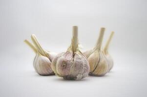 bunch of garlic isolated on white background photo